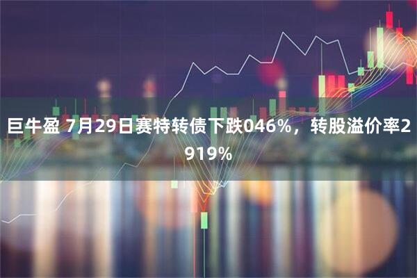 巨牛盈 7月29日赛特转债下跌046%,转股溢价率2919%