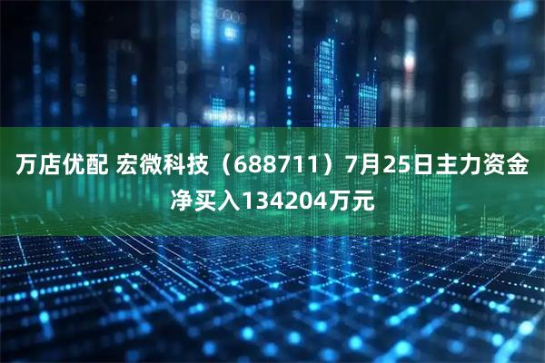 万店优配 宏微科技(688711)7月25日主力资金净买入134204万元
