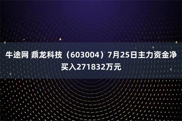 牛途网 鼎龙科技(603004)7月25日主力资金净买入271832万元