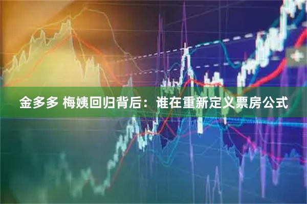 金多多 梅姨回归背后：谁在重新定义票房公式