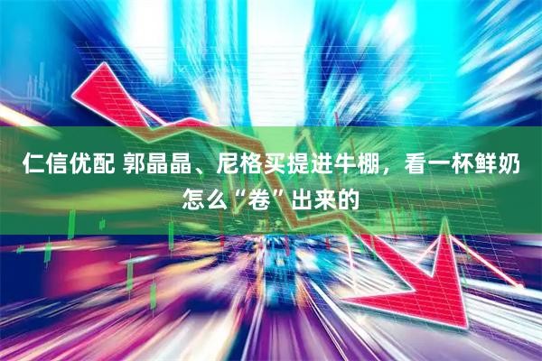 仁信优配 郭晶晶、尼格买提进牛棚，看一杯鲜奶怎么“卷”出来的