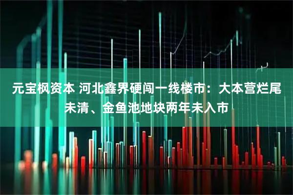 元宝枫资本 河北鑫界硬闯一线楼市：大本营烂尾未清、金鱼池地块两年未入市